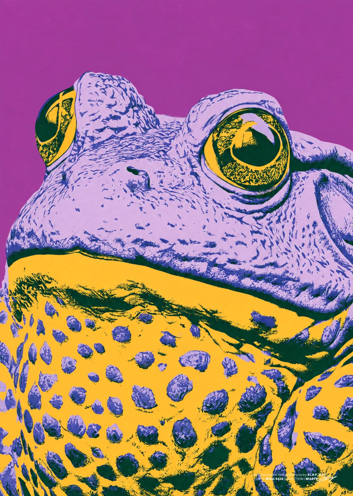 WARTS: Pop art close-up of a lilac toad with gold eyes and a yellow belly covered in purple spots